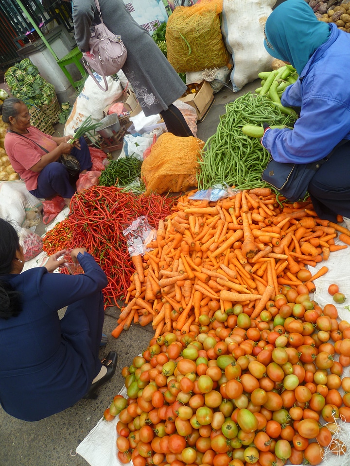 Food eat carrots