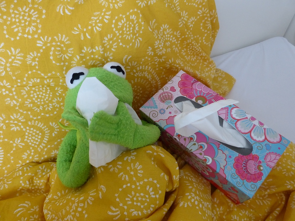 Handkerchief kermit frog
