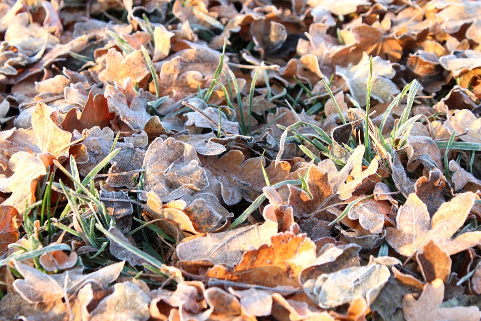 Frozen cold winter