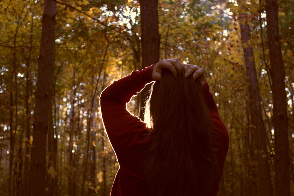 Sun forest hair