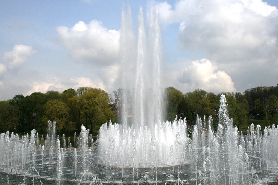 Spray white trees