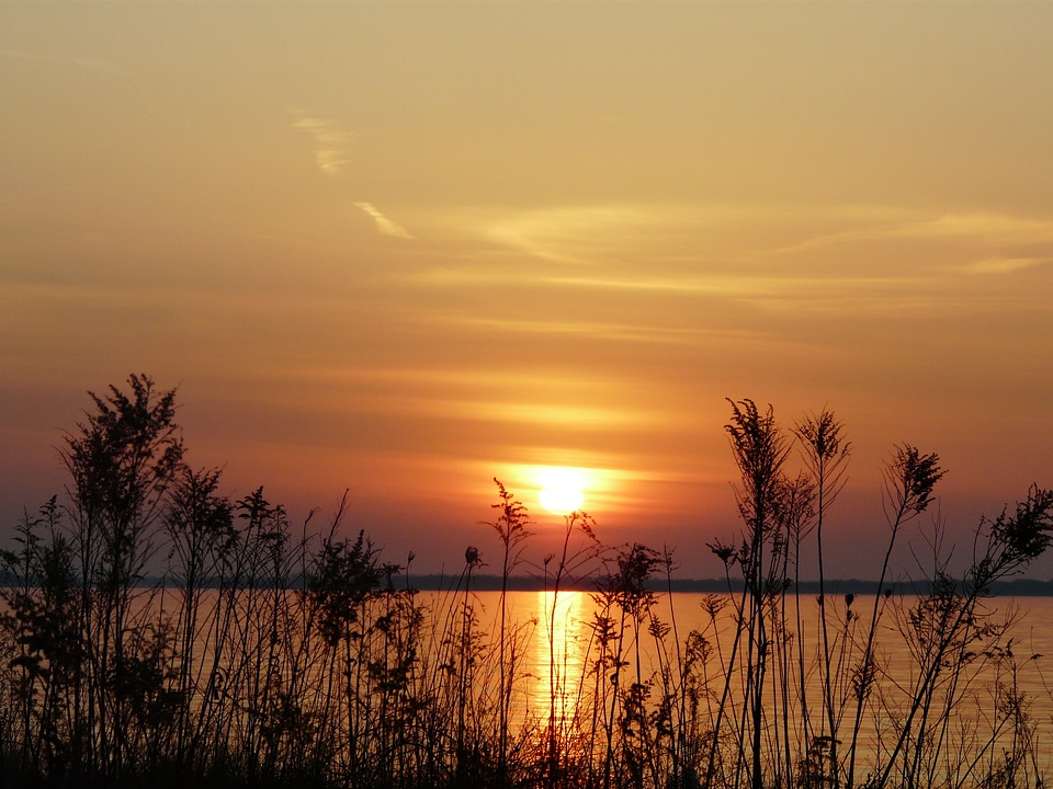 Water sky gold