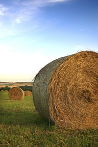 Grass landscape countryside photo