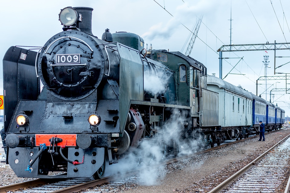 Railway train the vehicle