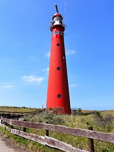 Lighthouse grass plants photo