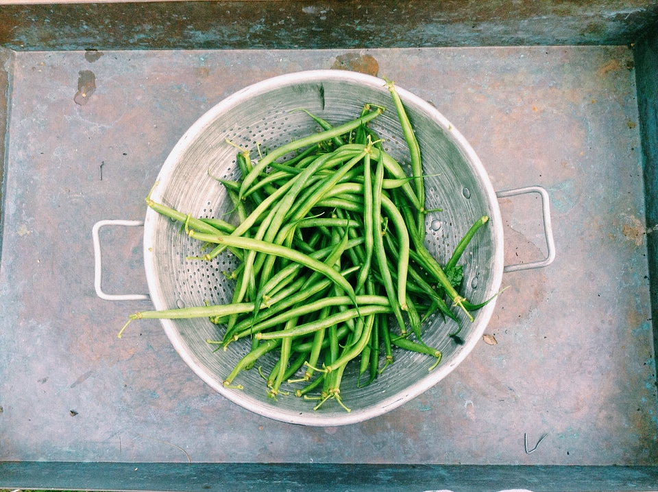 Vegetable green food