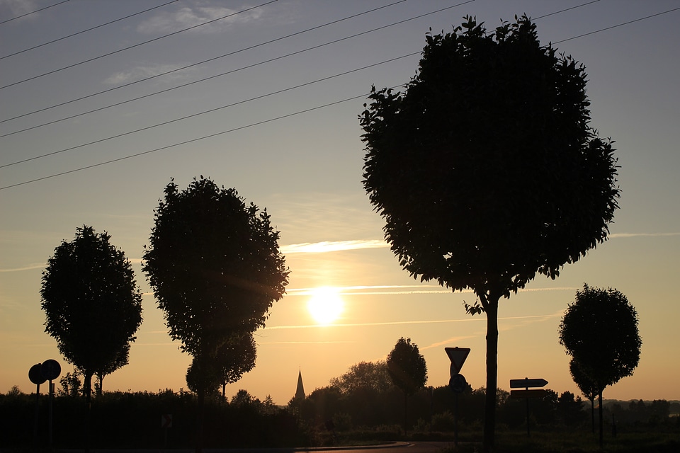 Nature sunbeam sun