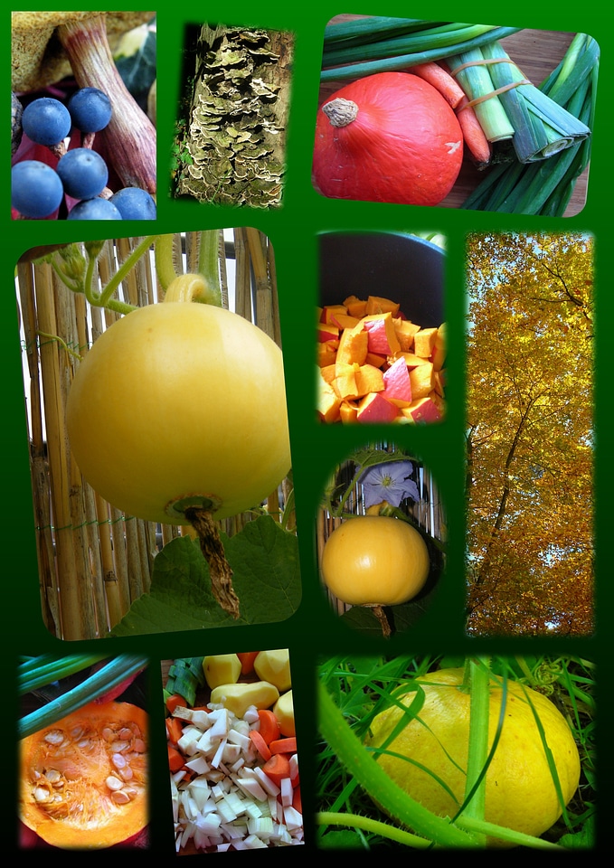 Colorful decoration emerge