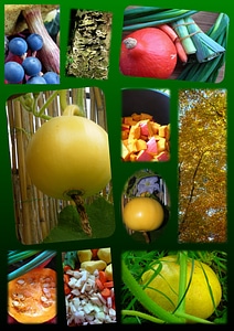 Colorful decoration emerge
