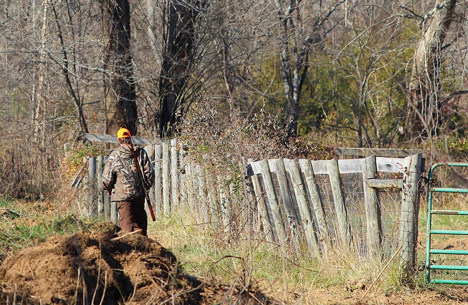 Camouflage hunt gun photo