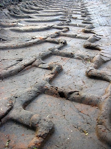 Tire clay tractor photo