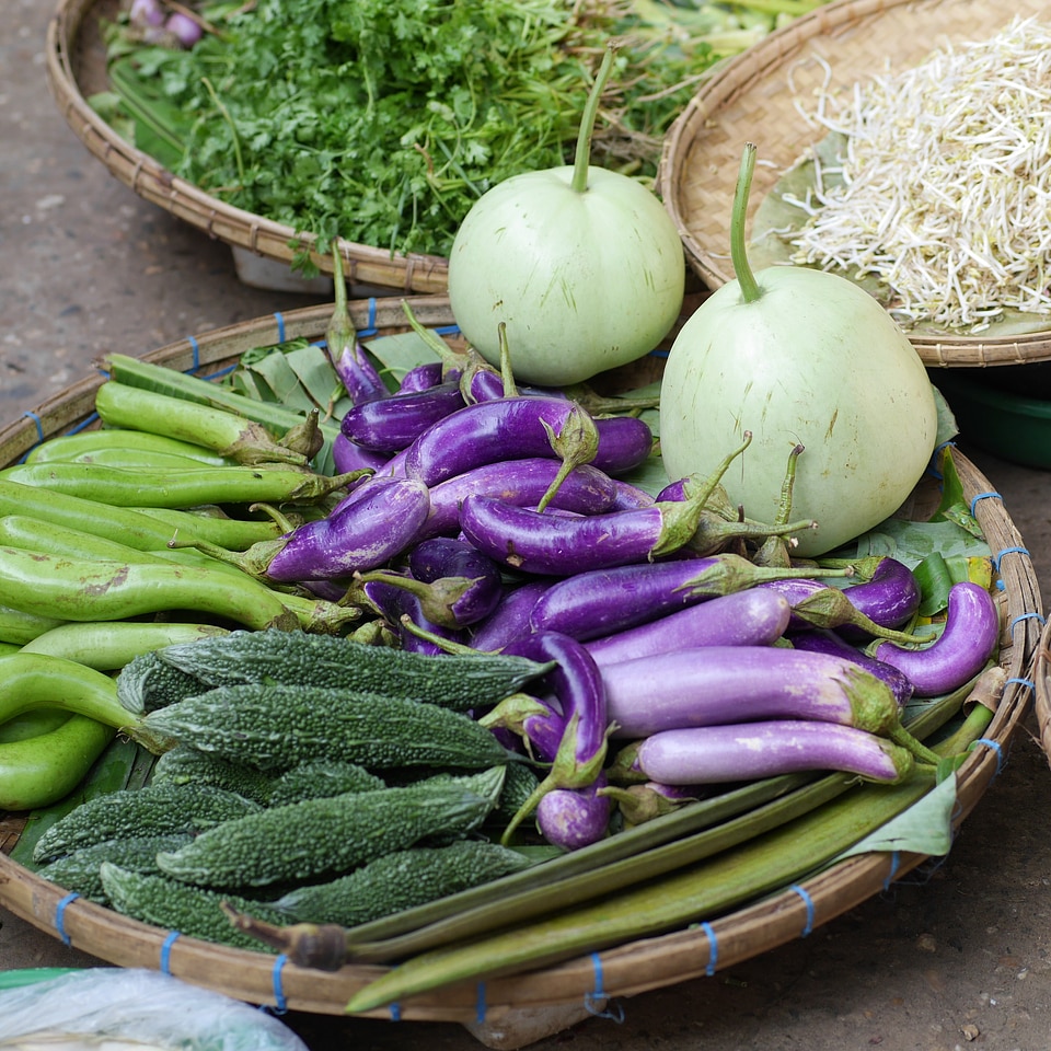 Beans food harvest