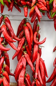 Ripe vegetables hot
