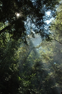 Nature landscape scenery