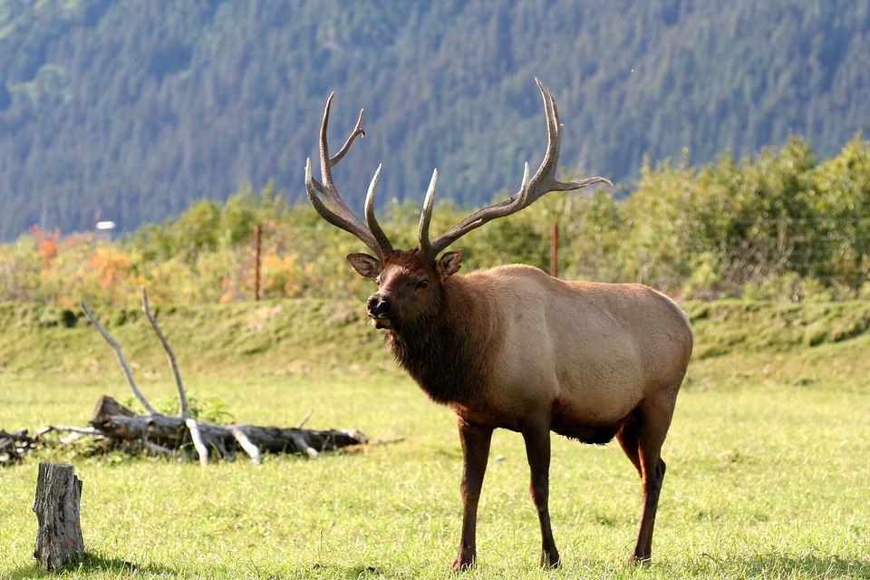 Nature outdoors usa