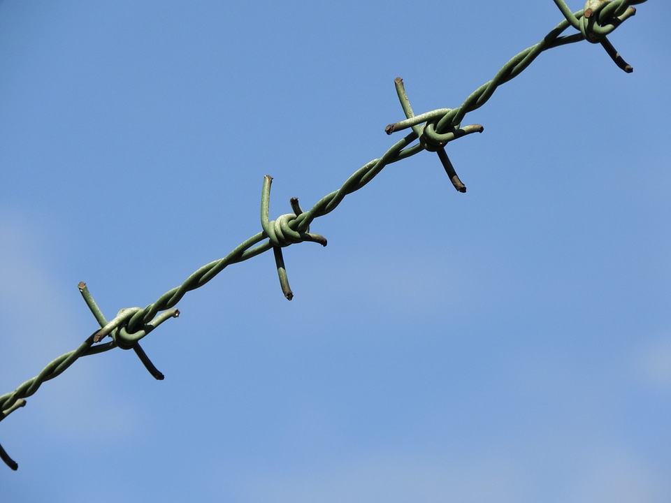 Imprisoned wire fence