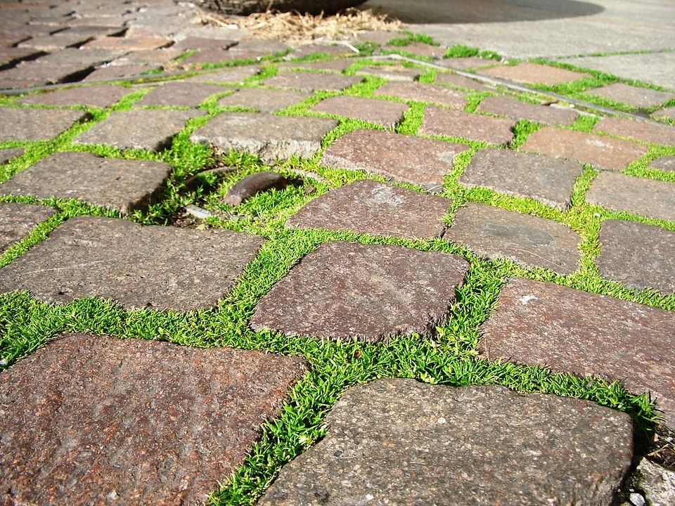 Brick pathway path