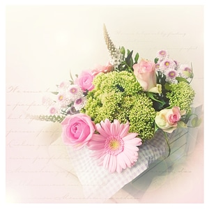 Pastel romantic country house