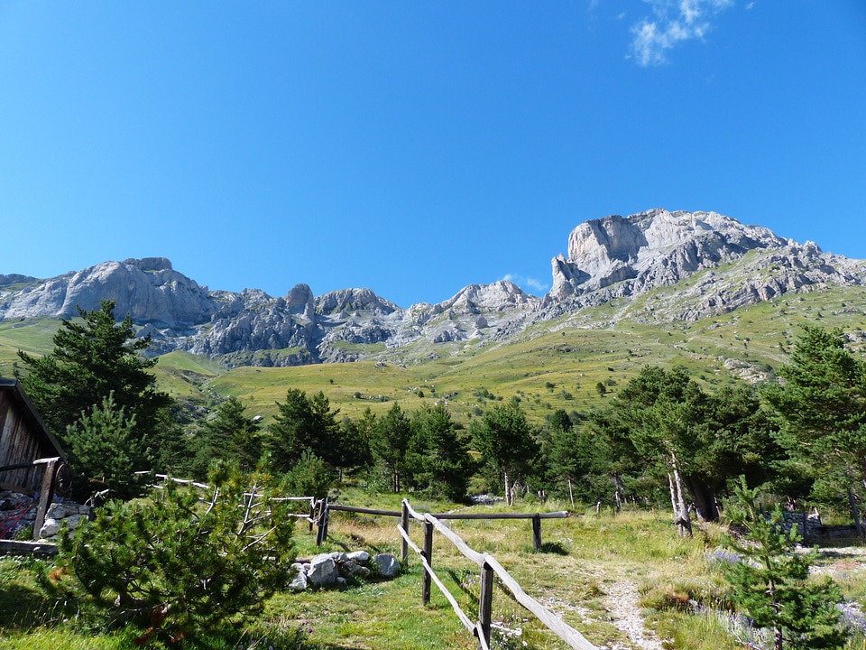 Il cimonasso cimonasso cima delle colme