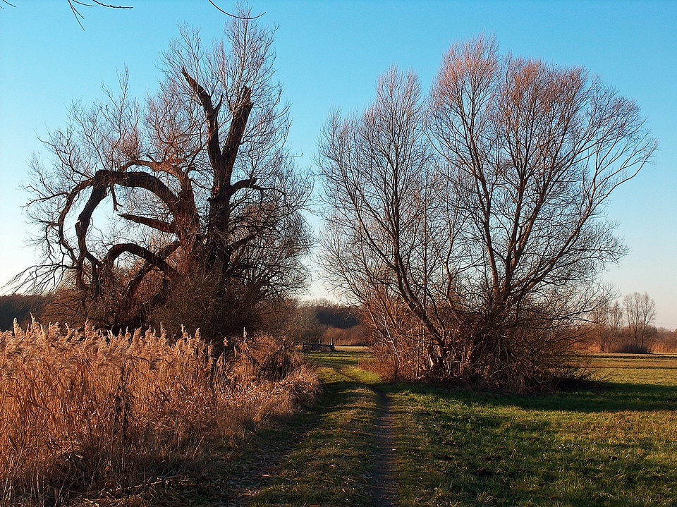 Nature outside country