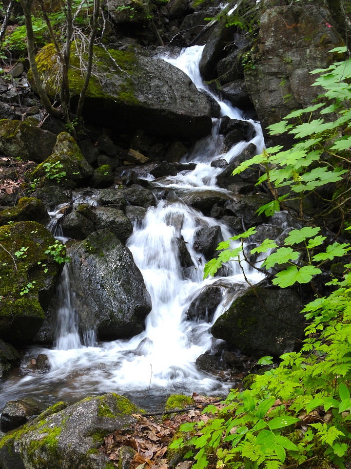 Skagway alaska scenic