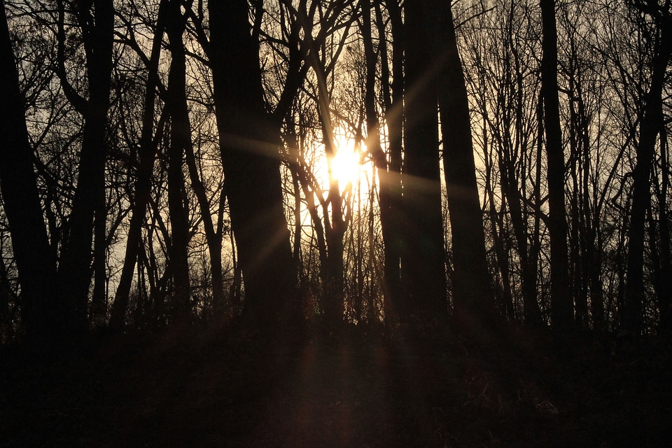 Nature beams sunlight