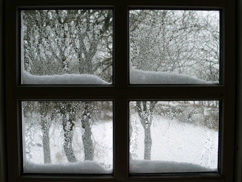 Snow lattice windows winter