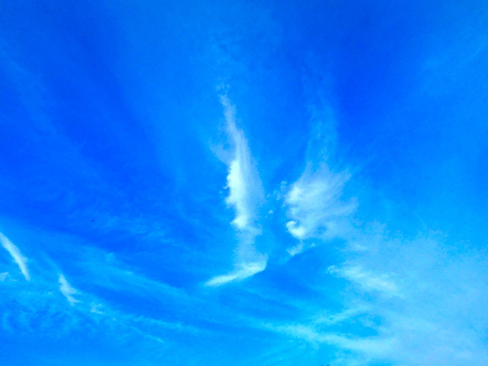 Cloud the evening sky angel wings