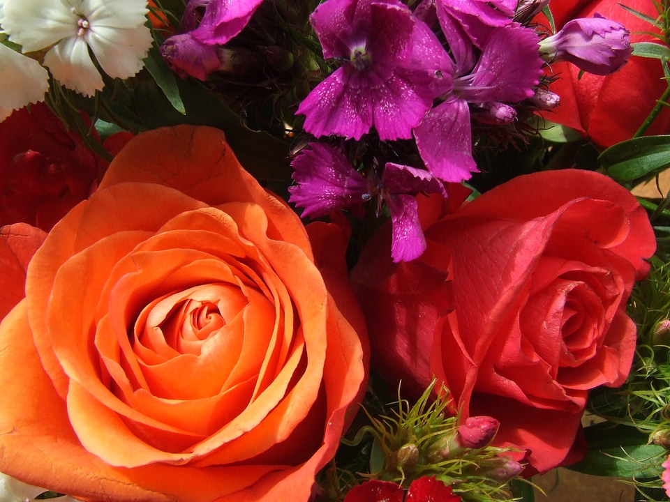 Roses bouquet romance