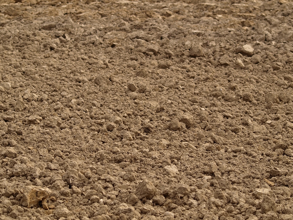 Arable field agriculture
