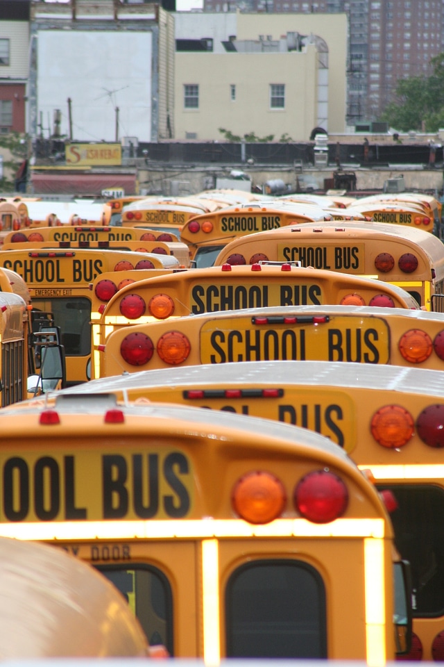 School transport usa