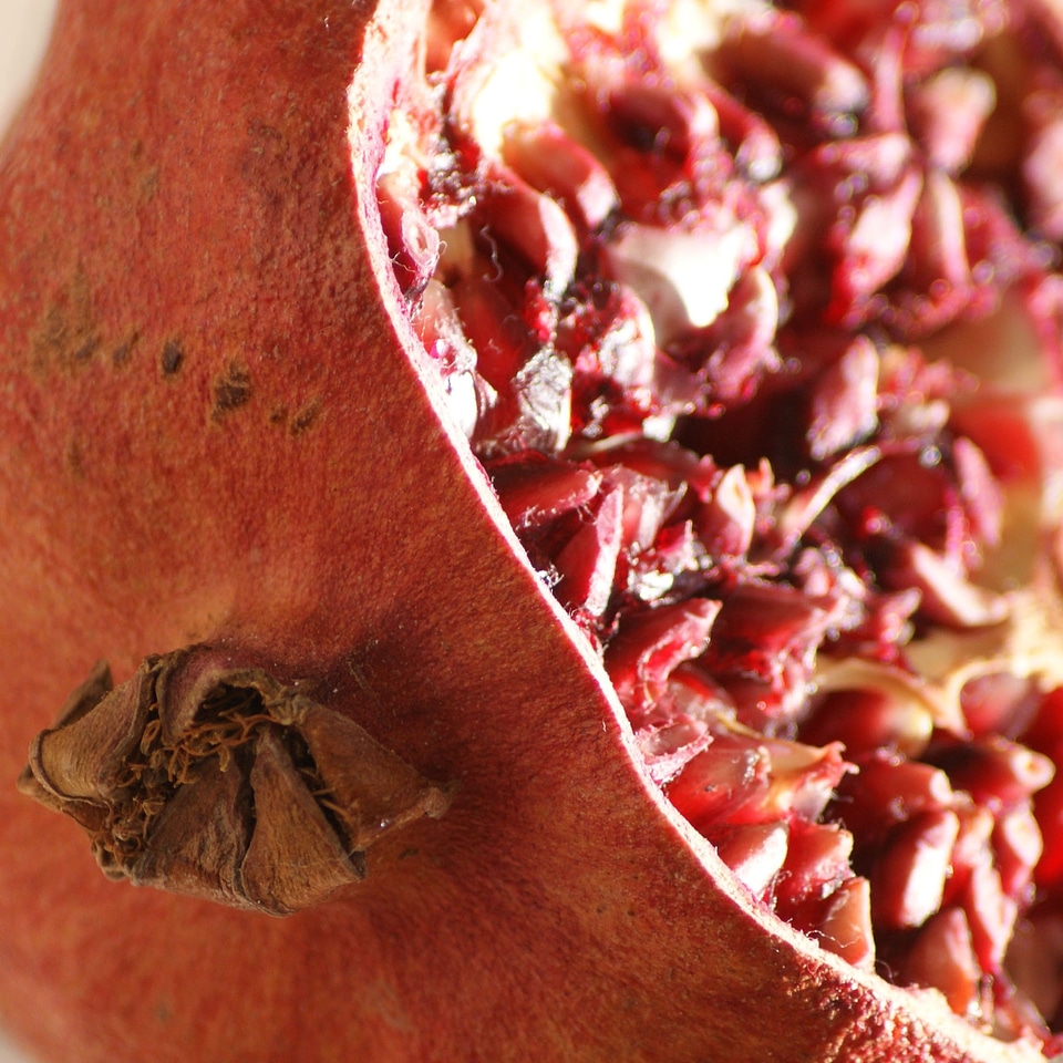 Food ripe healthy