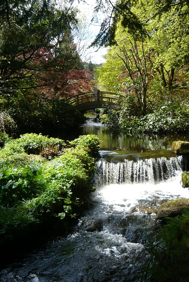 Waterfall landscape wilderness
