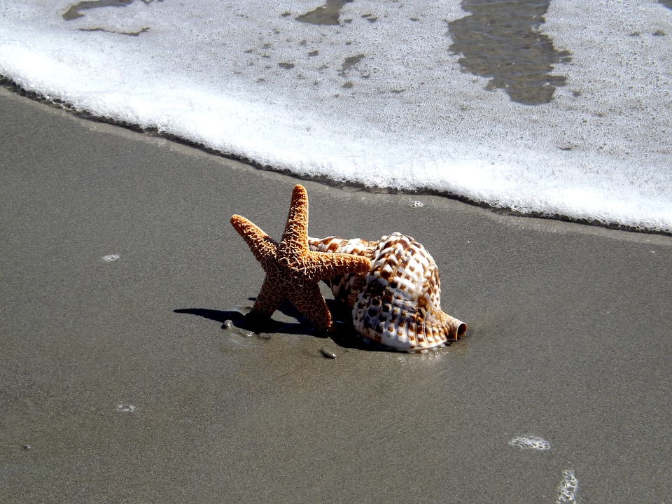 Sea summer ocean