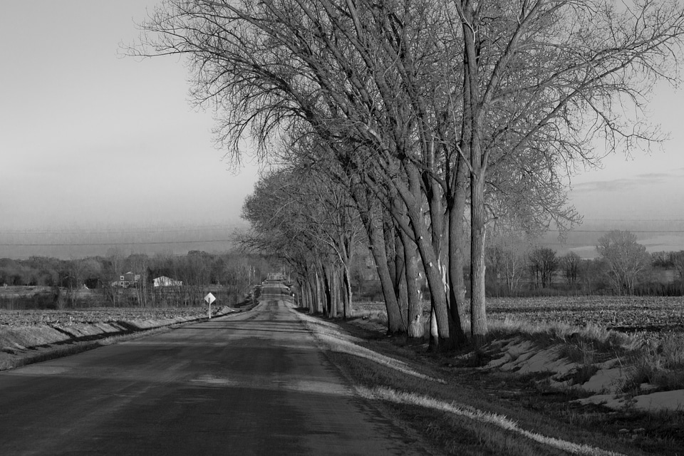 Outdoor countryside view