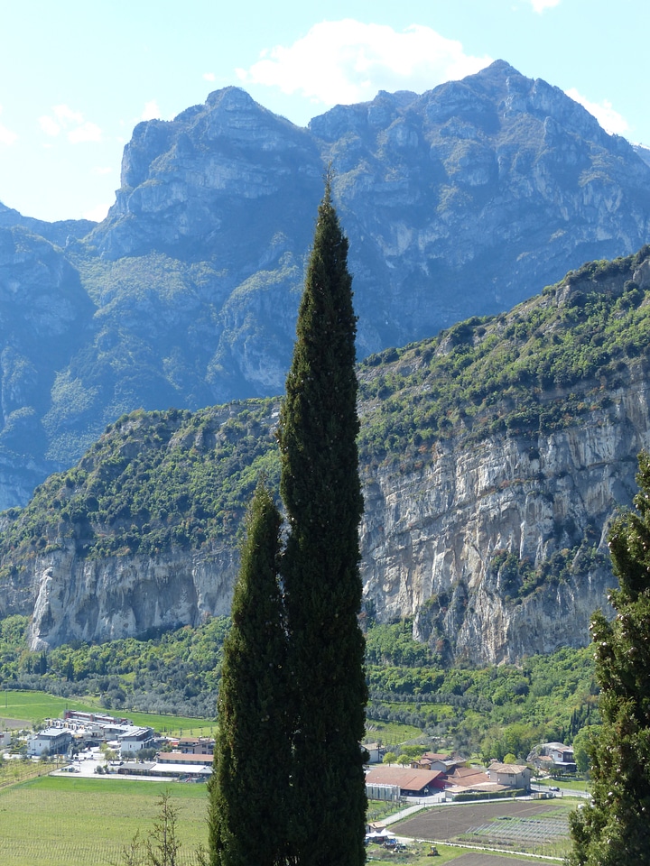 Cypress monte brione garda mountains