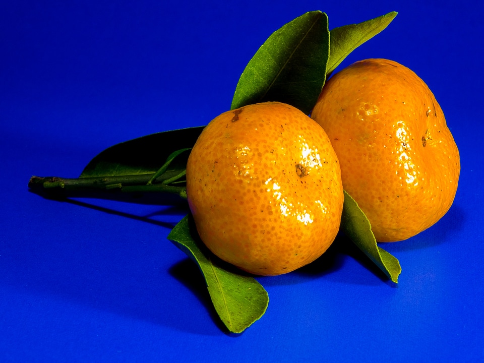 Orange mandarin citrus fruit