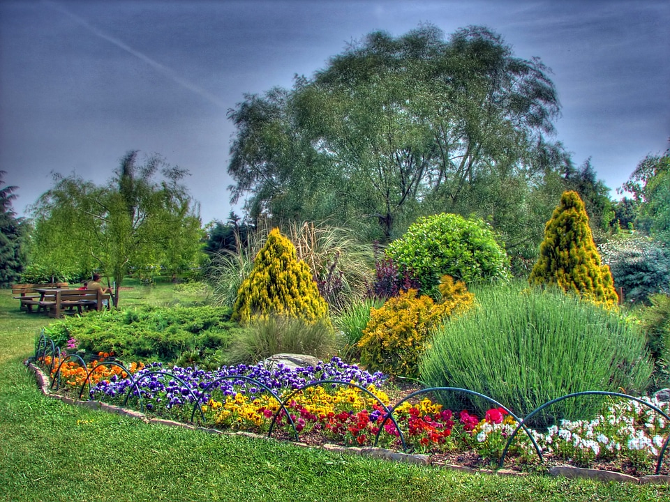 Flowers plants trees