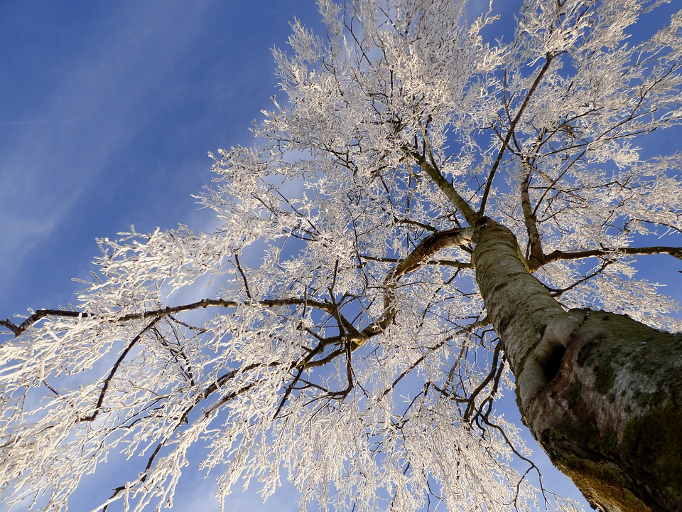 Freezing nature winter landscape