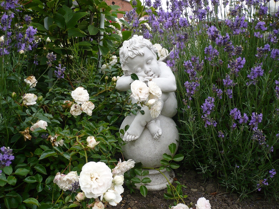 Wing cherub white