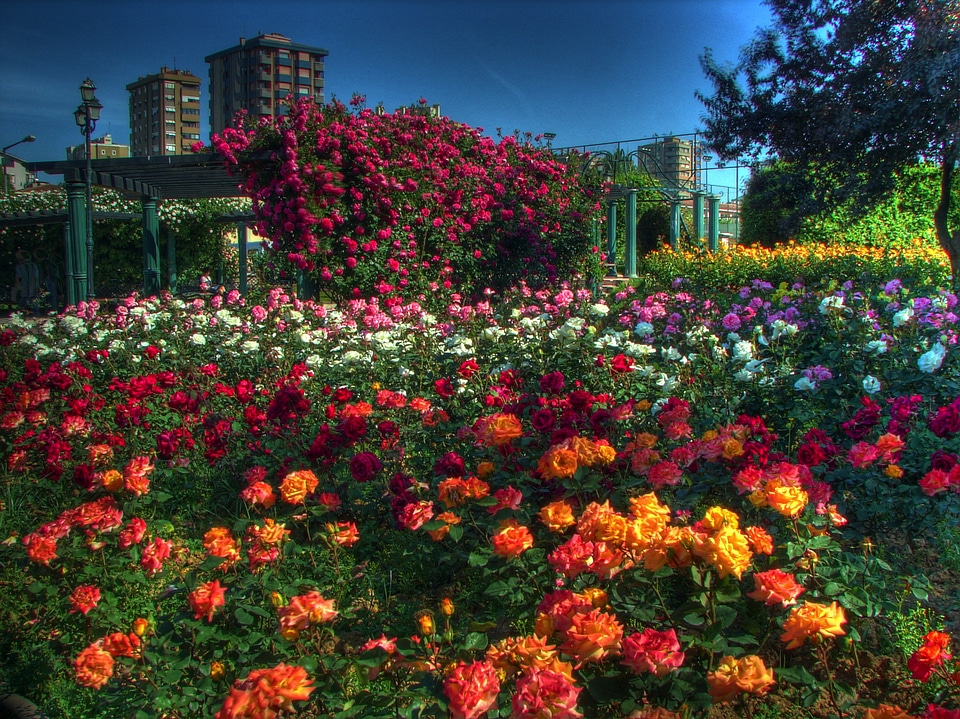 Garden park buildings