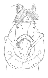 Image horse animal