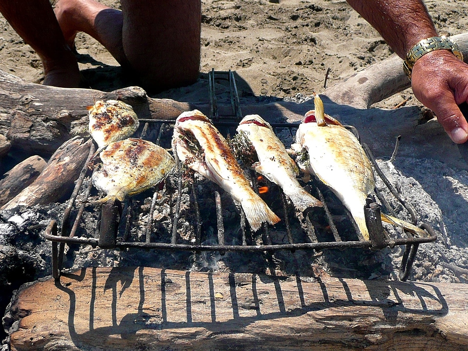 Grill fish fishing