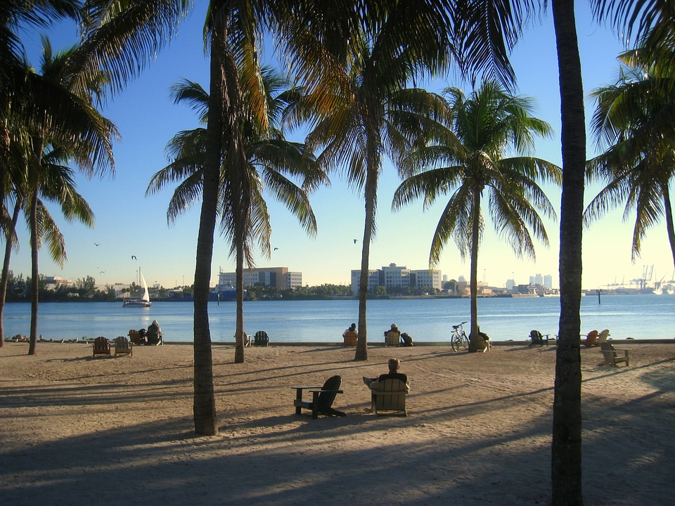 Beach skyline water