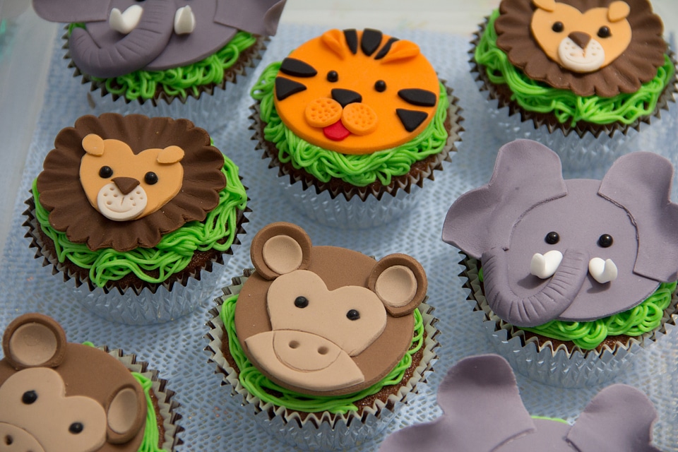 Cakes fun cake