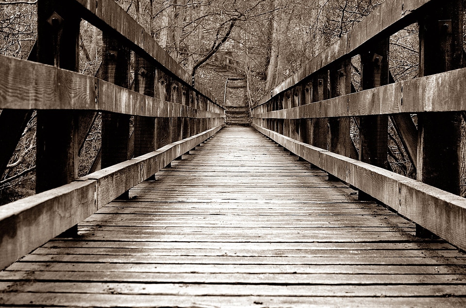 Wooden walk walkway photo