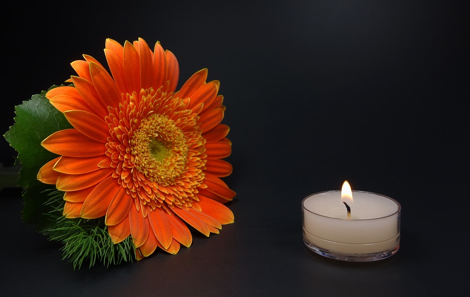 Mourning trauerkarte still life