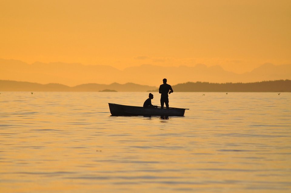 Catching fish golden sky silhouette