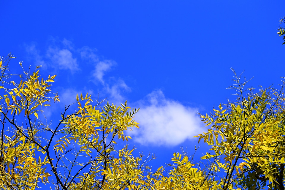 Sky clouds blue