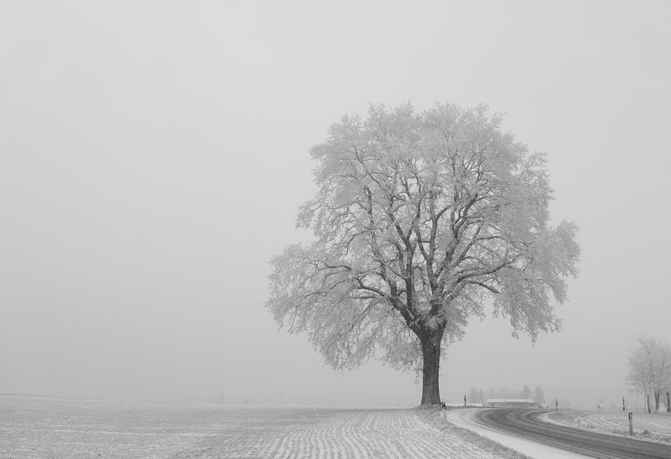 Landscape away wintry